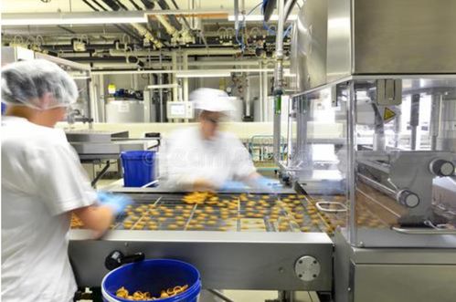 开个食品生产加工小作坊,把我家祖传的美食发扬光大